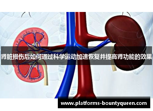 肾脏损伤后如何通过科学运动加速恢复并提高肾功能的效果