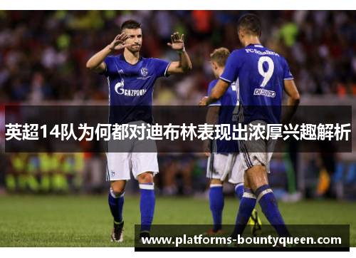 英超14队为何都对迪布林表现出浓厚兴趣解析