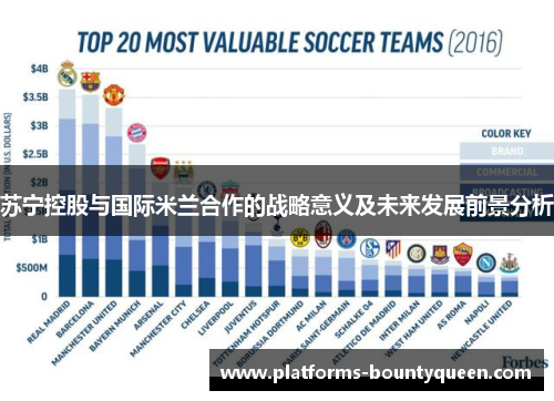 苏宁控股与国际米兰合作的战略意义及未来发展前景分析