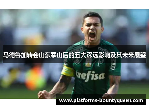 马德鲁加转会山东泰山后的五大深远影响及其未来展望